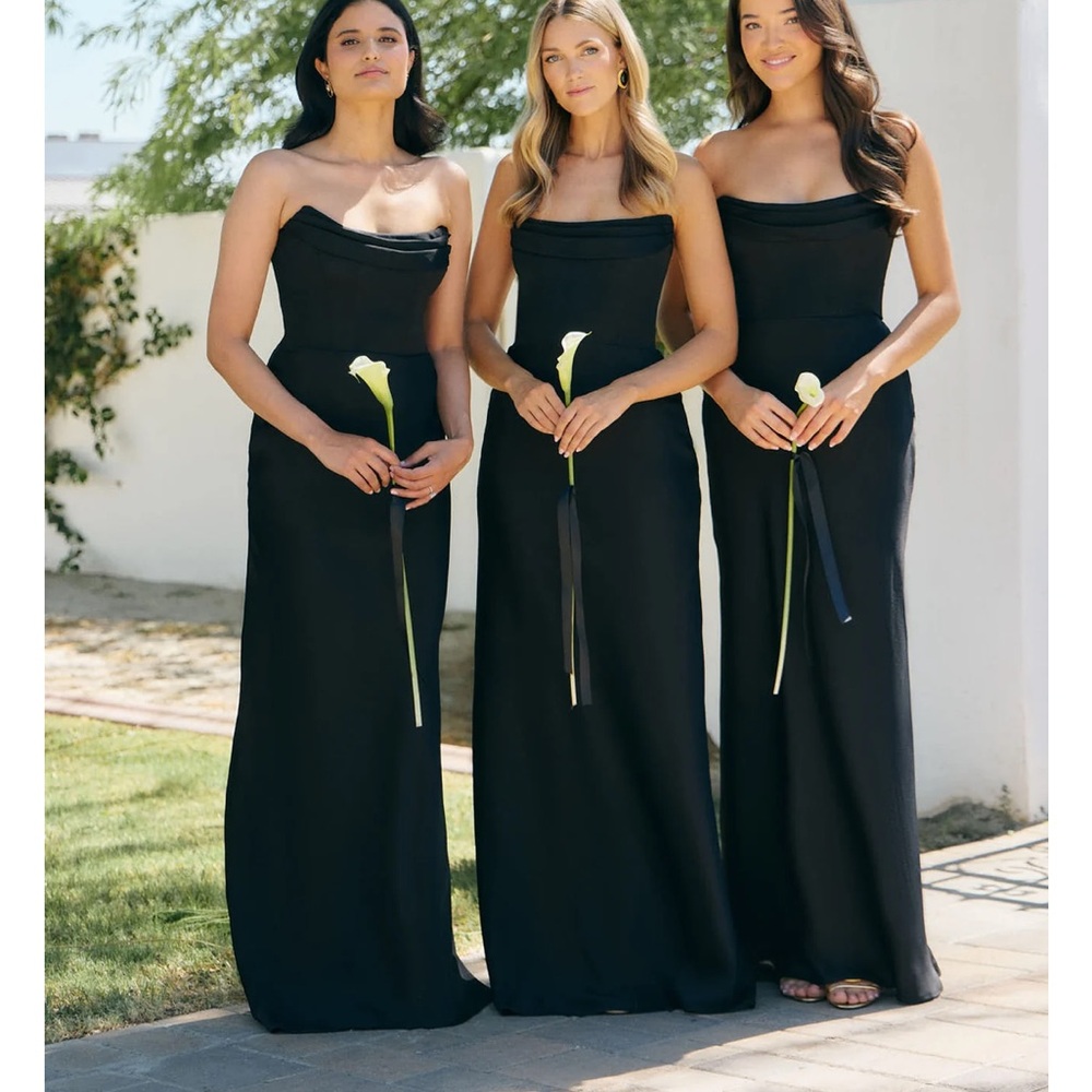 NWT Park & Fifth Paloma Dress - Picture 8 of 8
